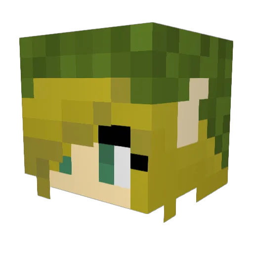 Foxy31415 Minecraft avatar head, 3D render