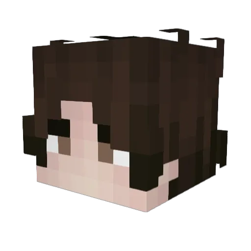 FoxyDo_ Minecraft avatar head, 3D render