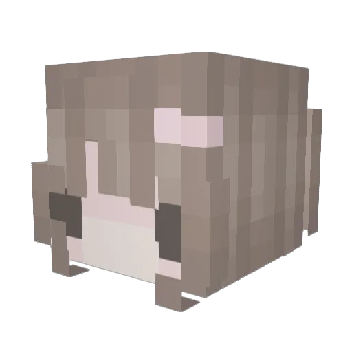FoxyFantasy3005 Minecraft avatar head, 3D render