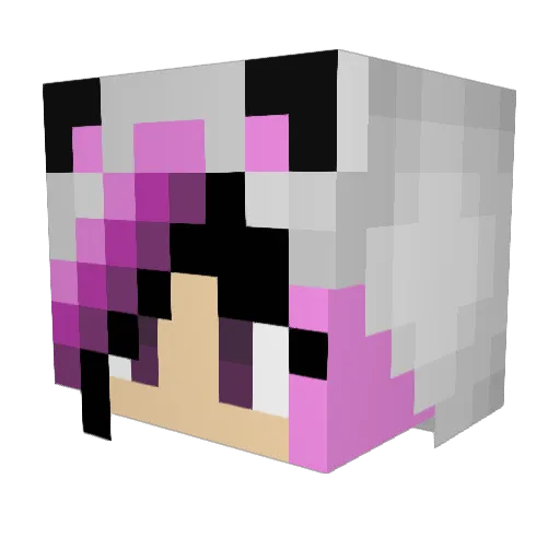 FoxyFox101 Minecraft avatar head, 3D render