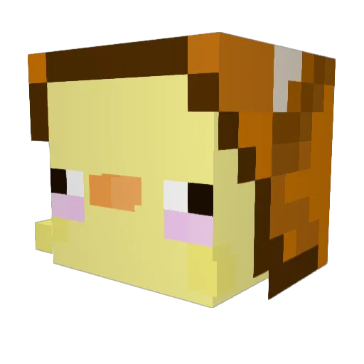FoxyGamer20 Minecraft avatar head, 3D render