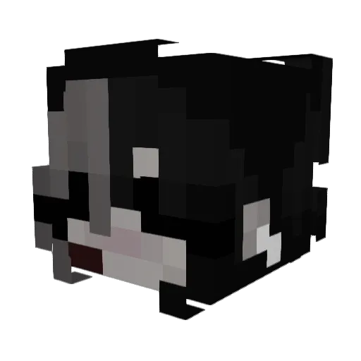 FoxyGirl0523 Minecraft avatar head, 3D render