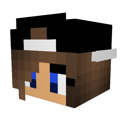 FoxyGirl0606 Minecraft avatar head, 3D render