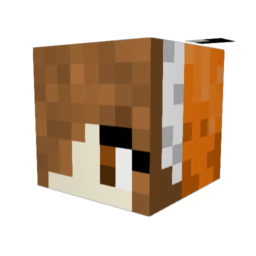 FoxyJackie Minecraft avatar head, 3D render