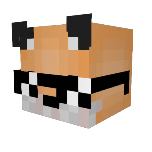 FoxyMaster1016 Minecraft avatar head, 3D render