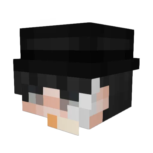 FoxySGo_ Minecraft avatar head, 3D render