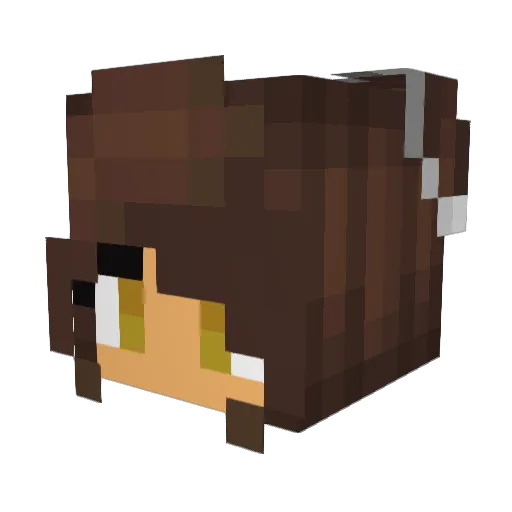 FoxyTrott Minecraft avatar head, 3D render