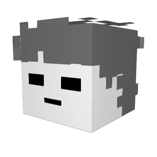 Foxy_767 Minecraft avatar head, 3D render