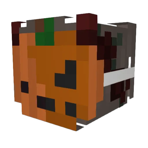 Foxy_RLO Minecraft avatar head, 3D render