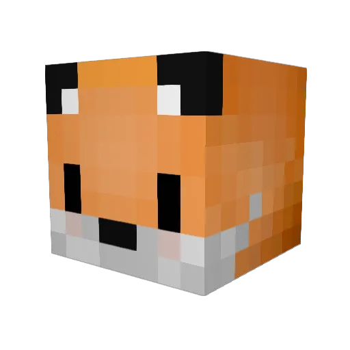 Foxy_beans Minecraft avatar head, 3D render