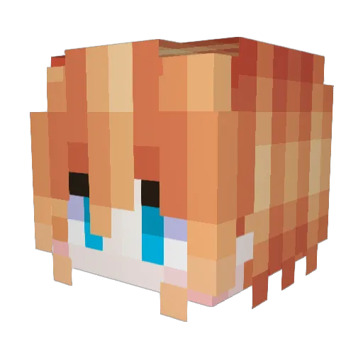 Foxyfurry Minecraft avatar head, 3D render