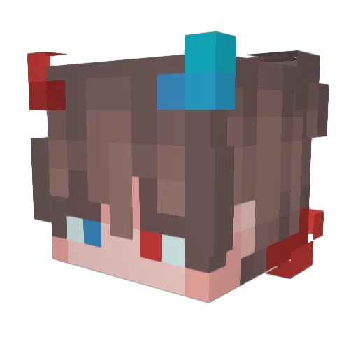 Foxytrot45 Minecraft avatar head, 3D render
