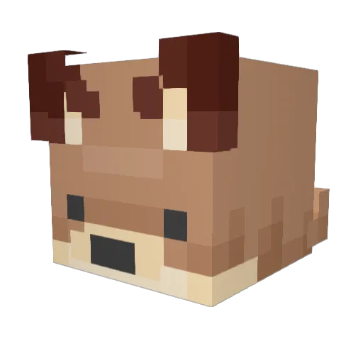FoxzArmy Minecraft avatar head, 3D render