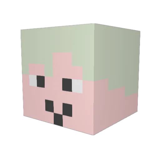 Foychi Minecraft avatar head, 3D render