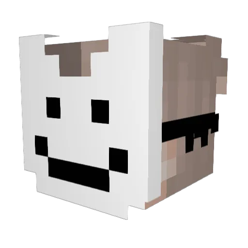 Foym Minecraft avatar head, 3D render
