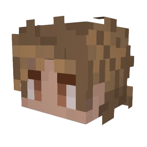 Fozzie201 Minecraft avatar head, 3D render