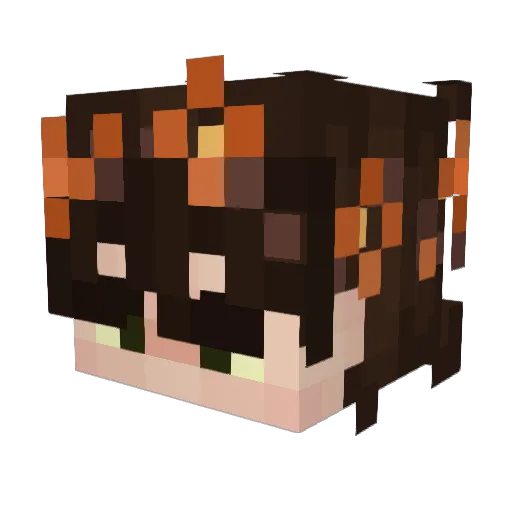Fpooooon Minecraft avatar head, 3D render