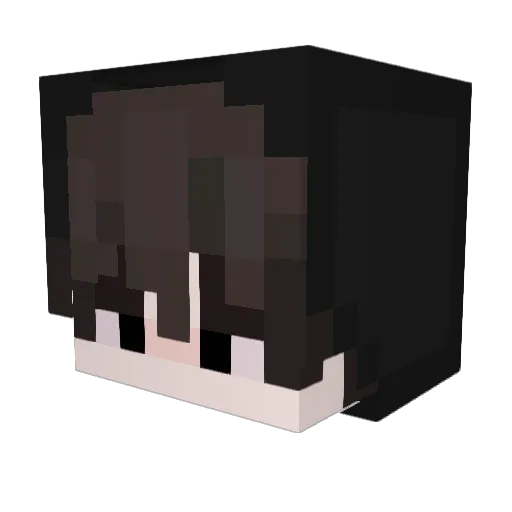 FpsStealer Minecraft avatar head, 3D render