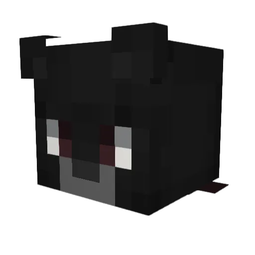 Fqk1 Minecraft avatar head, 3D render