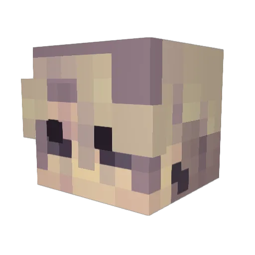 FqllenAngel Minecraft avatar head, 3D render