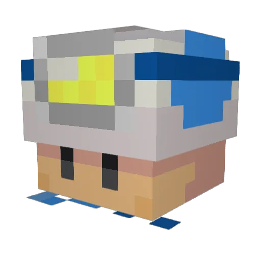 Fqnction Minecraft avatar head, 3D render