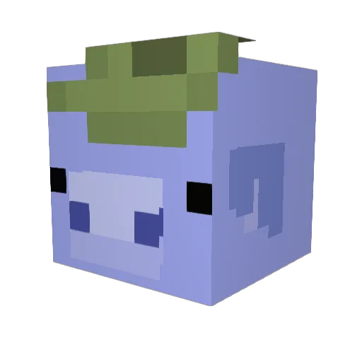 Fr00wie Minecraft avatar head, 3D render