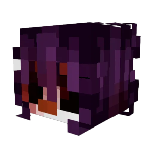Fr0chi Minecraft avatar head, 3D render