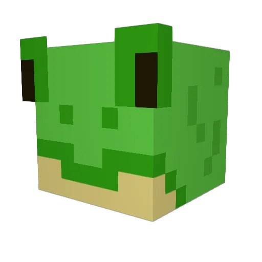 Fr0g244 Minecraft avatar head, 3D render