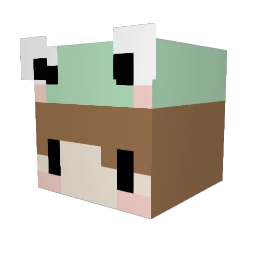 Fr0g_in_a_B0g Minecraft avatar head, 3D render