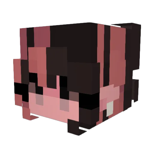 Fr0ggy9 Minecraft avatar head, 3D render