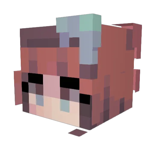 Fr0gzarecool Minecraft avatar head, 3D render