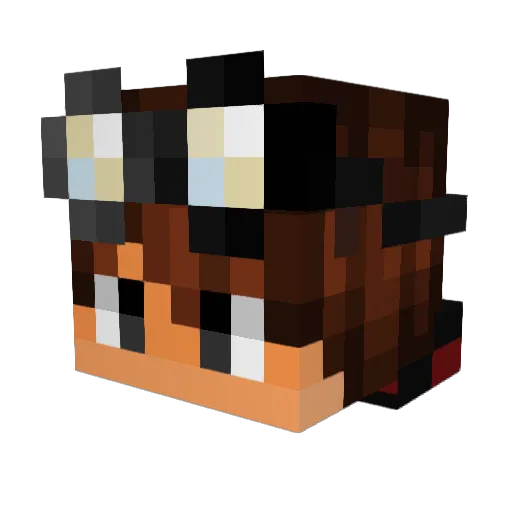 Fr0gzy_ Minecraft avatar head, 3D render