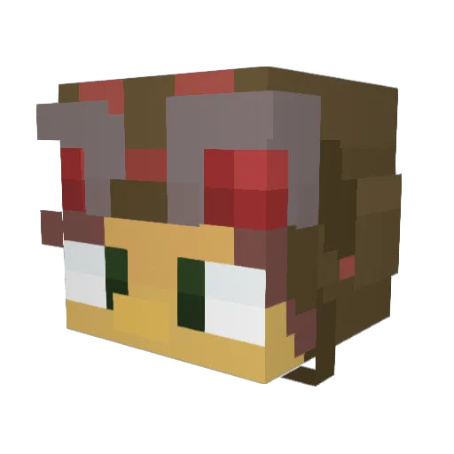 Fr0lickingFr0g Minecraft avatar head, 3D render
