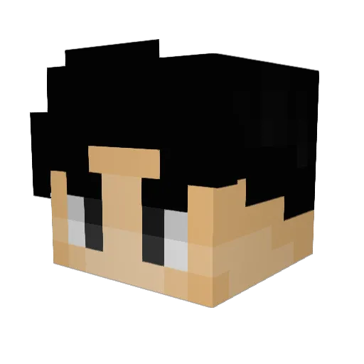 Fr0nk_ Minecraft avatar head, 3D render