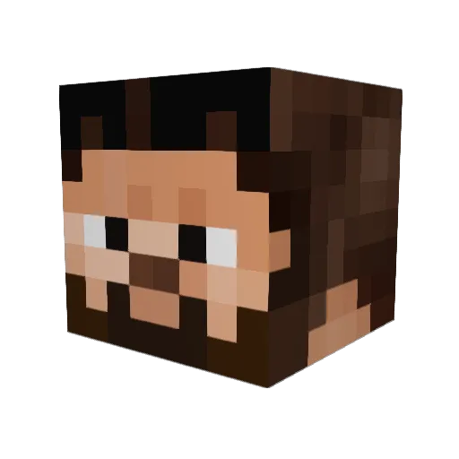 Fr0se Minecraft avatar head, 3D render