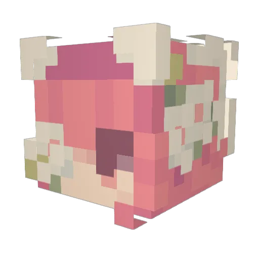 Fr0shmin Minecraft avatar head, 3D render