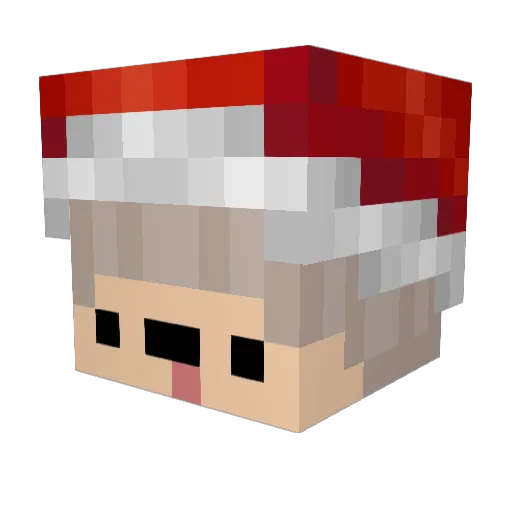 Fr0stBytes Minecraft avatar head, 3D render