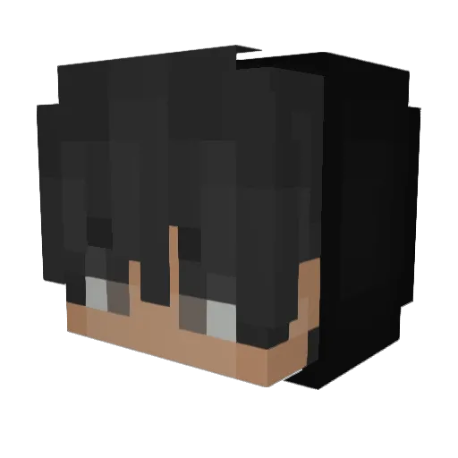 Fr0stCookie_ Minecraft avatar head, 3D render