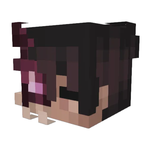 Fr0st_So_c0ld Minecraft avatar head, 3D render