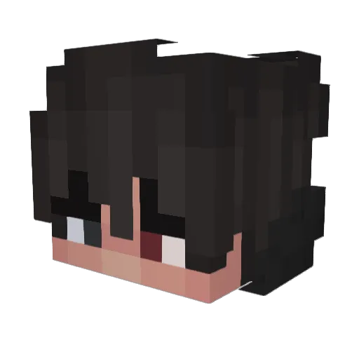Fr0stas Minecraft avatar head, 3D render