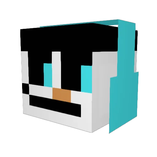 Fr0sty2306 Minecraft avatar head, 3D render