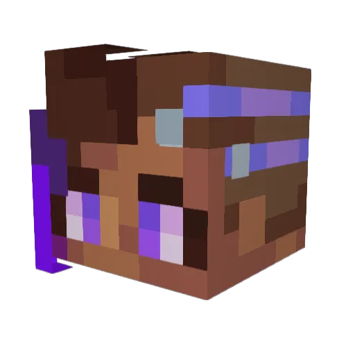 Fr0x__ Minecraft avatar head, 3D render