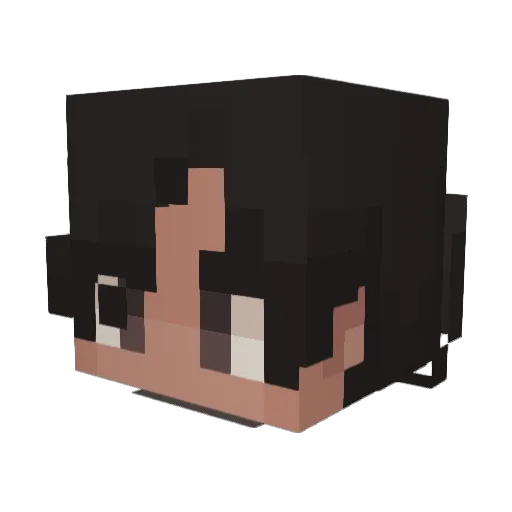 Fr0z3nRa1d3r Minecraft avatar head, 3D render
