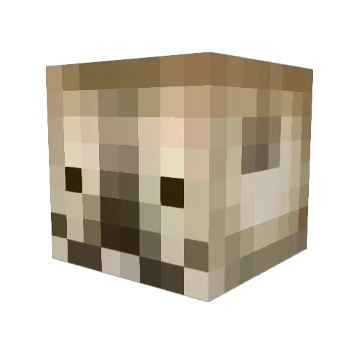 Fr0zenFire88 Minecraft avatar head, 3D render