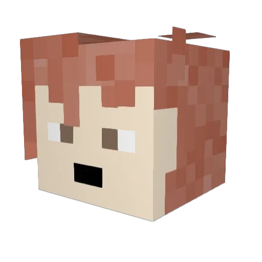Fr16ky Minecraft avatar head, 3D render
