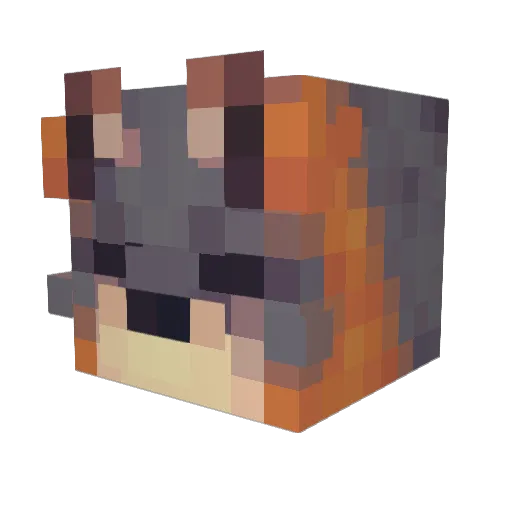 Fr1edChiken Minecraft avatar head, 3D render