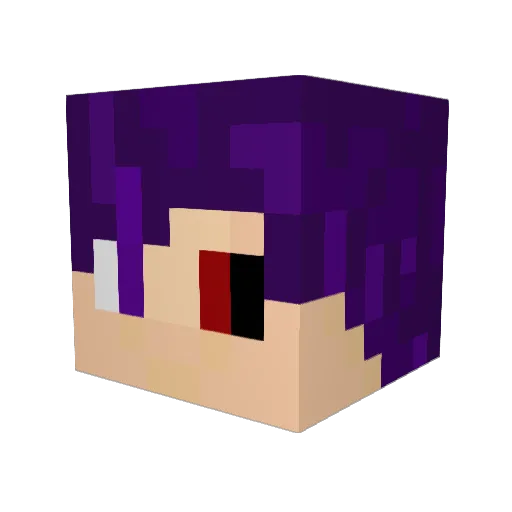 Fr1ner0 Minecraft avatar head, 3D render
