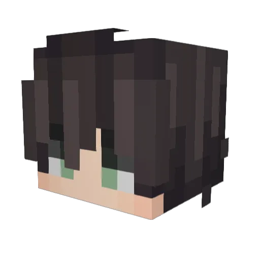 Fr1znt Minecraft avatar head, 3D render