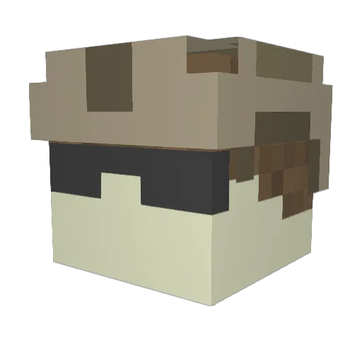 Fr33land3r Minecraft avatar head, 3D render
