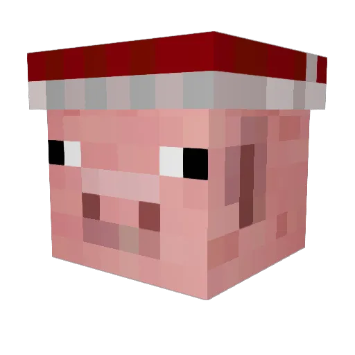 Fr3Craft3r Minecraft avatar head, 3D render